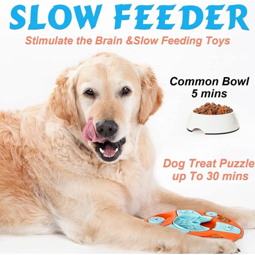 Mind and Munch: IQ Training Dog Food Puzzle Toys for Intelligent Play