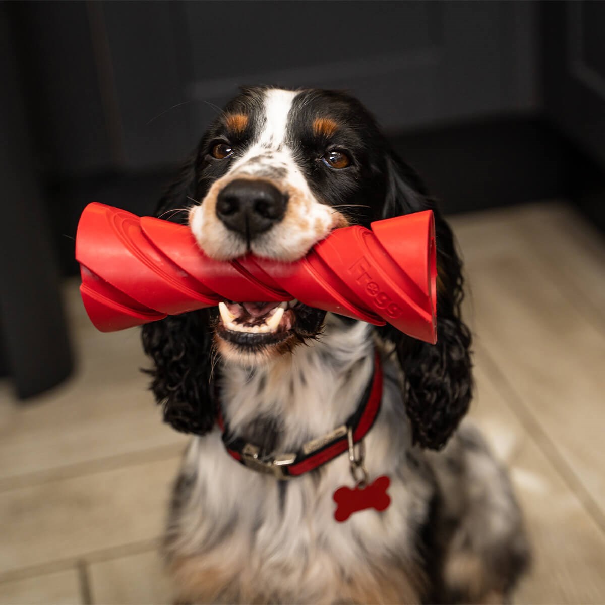 Frogg Dumbbell Tough Dog Toy